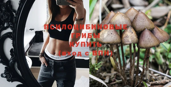 синтетический гашиш Абинск